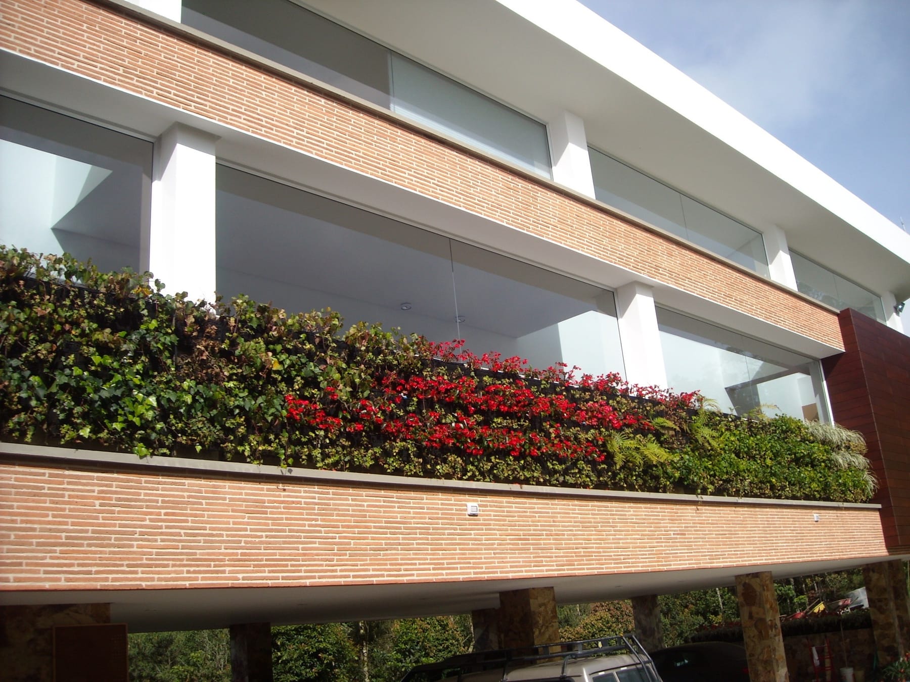 Jardinera elevada con begonias rojas