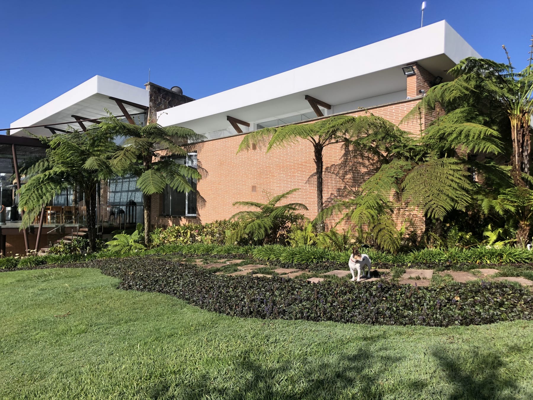 Fachada principal con el jardín de helechos arbóreos