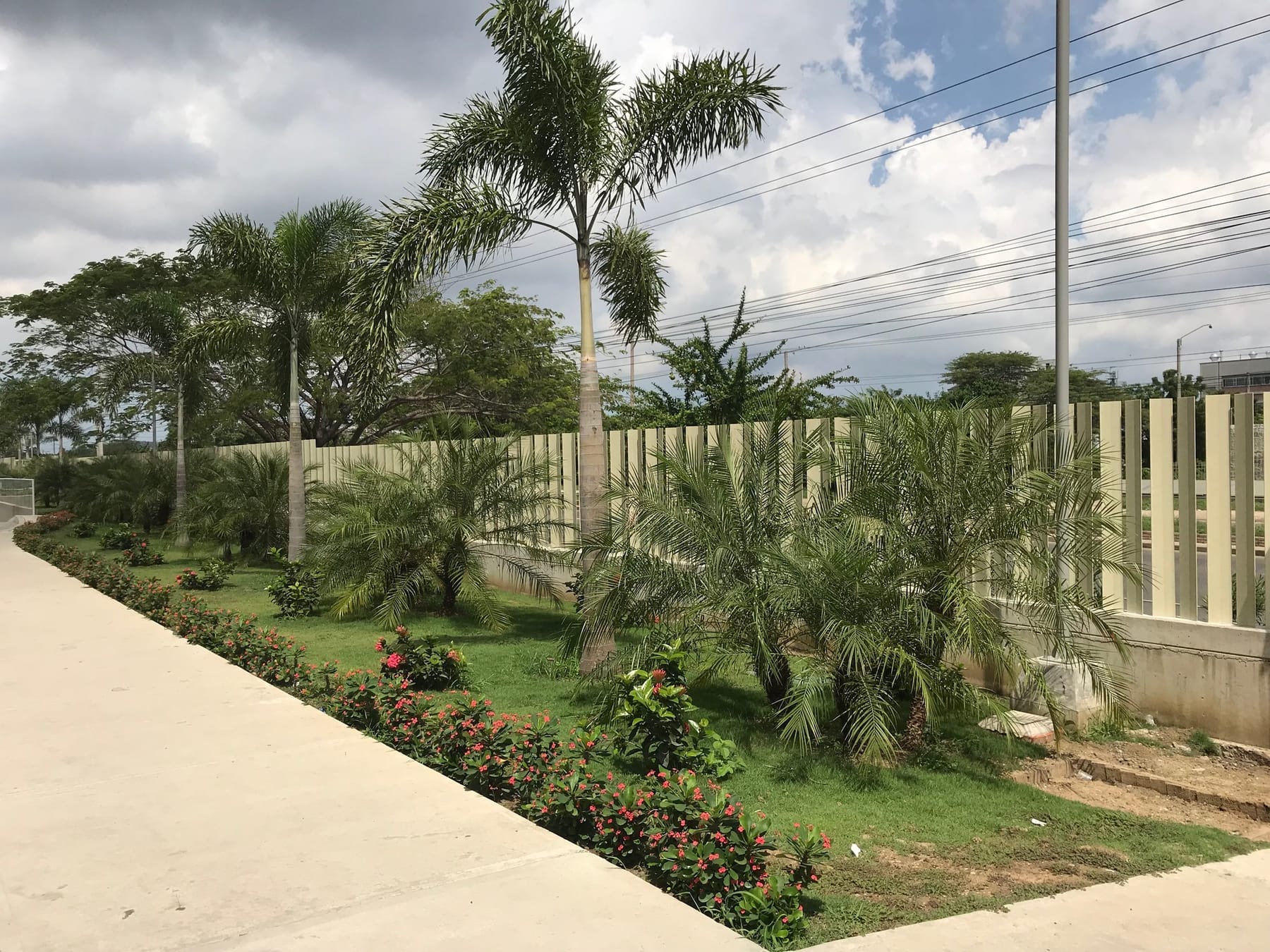 Jardines exteriores con palmas y arbustos frente al acceso