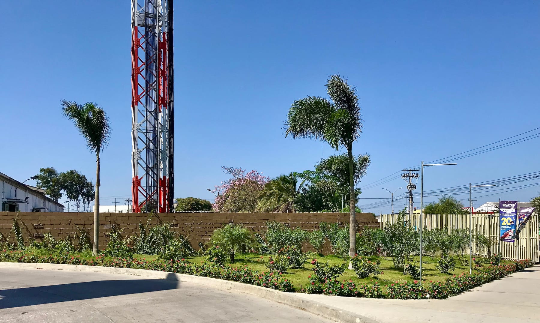 Palmas y jardineras del perímetro