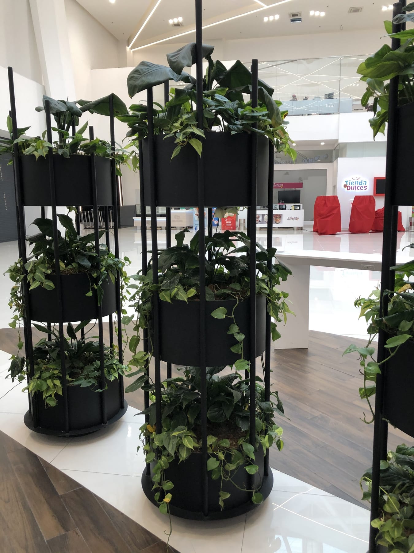 Torres verdes en la zona de confitería