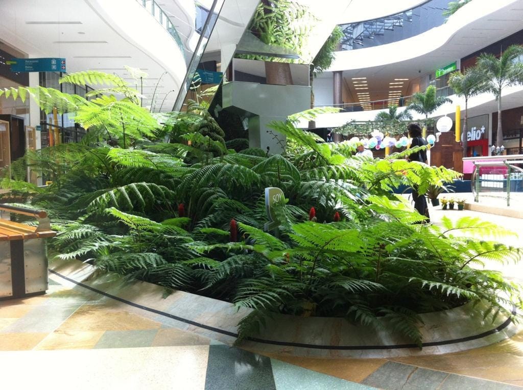 Jardinera curva con helechos junto a las escaleras