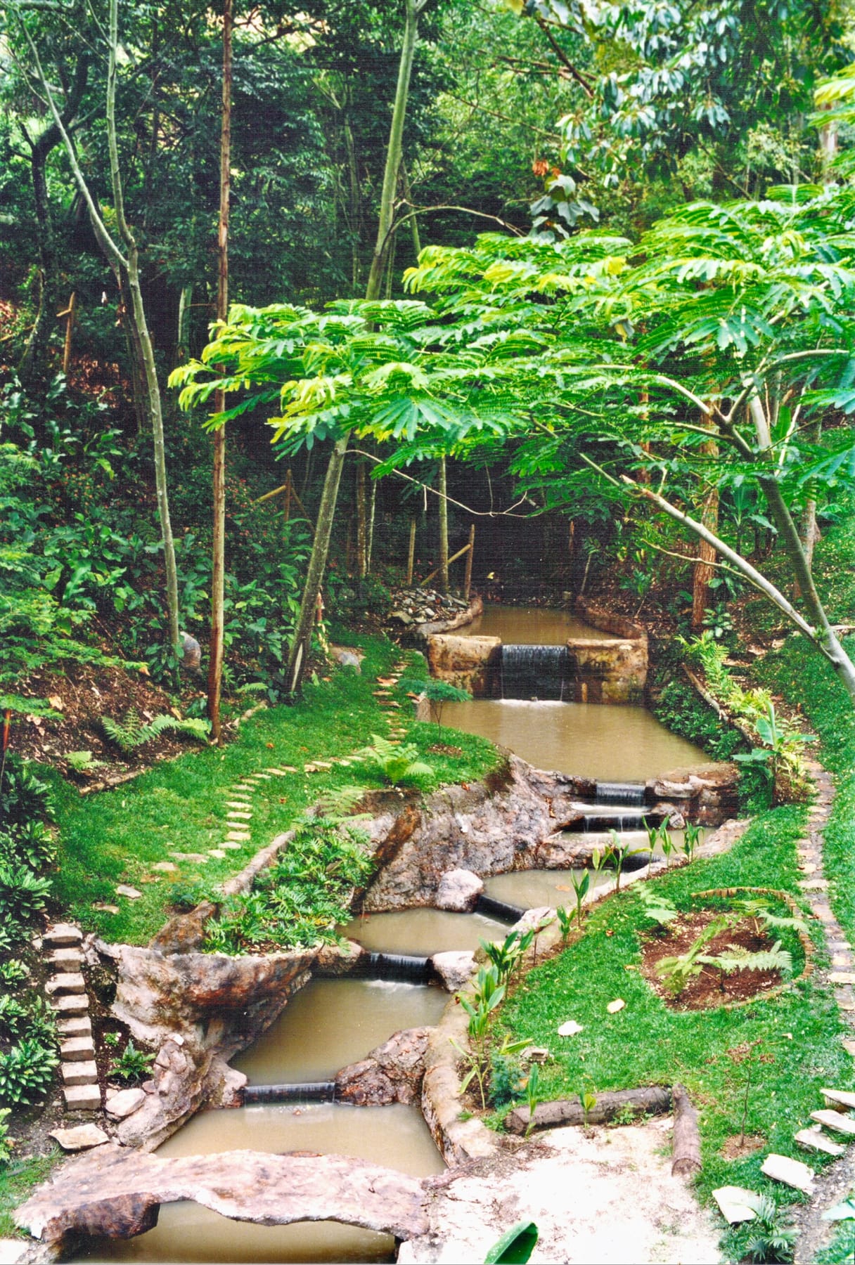 Canal de piedra con saltos de agua bajo el bosque