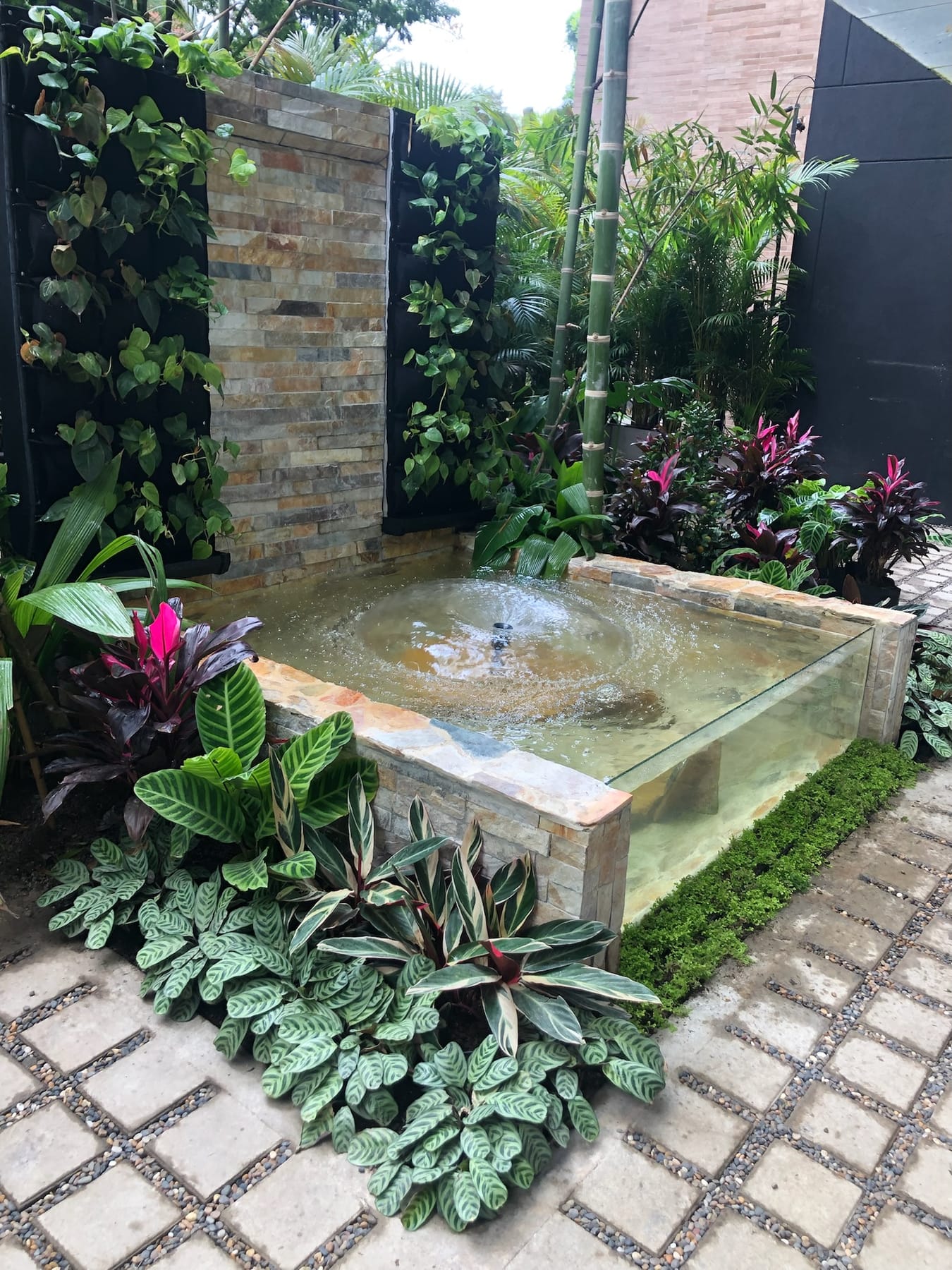 Fuente contemporánea en piedra con jardín vertical