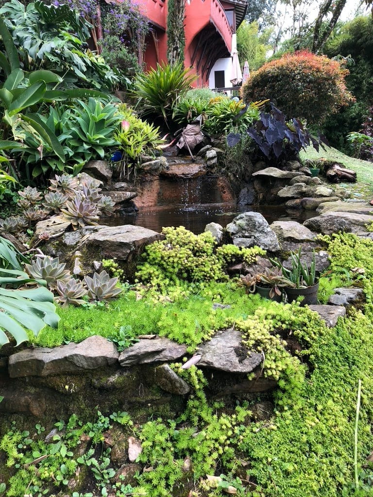 Jardín de rocas con musgo y helechos