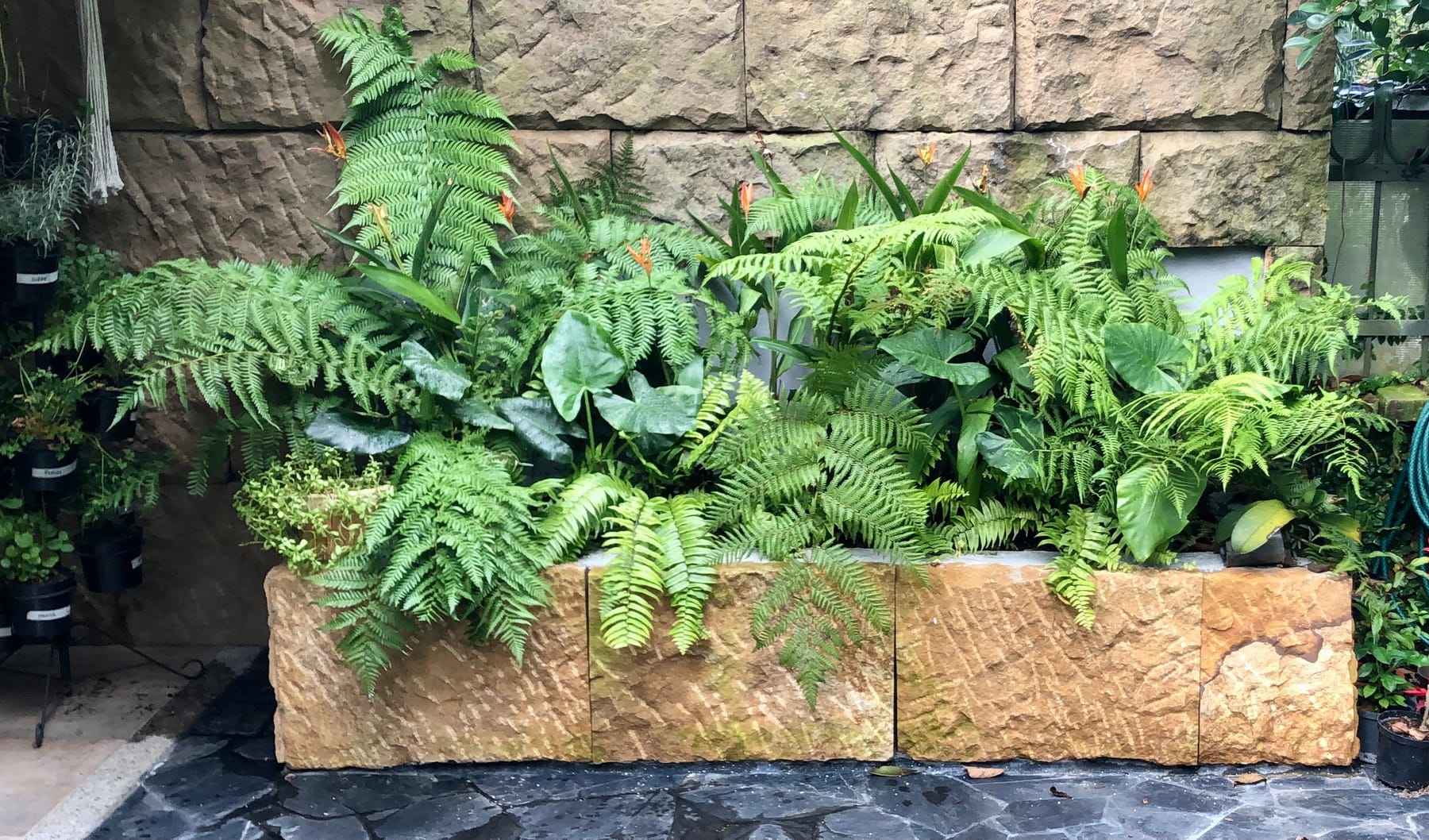 Jardinera de piedra con helechos y anturios