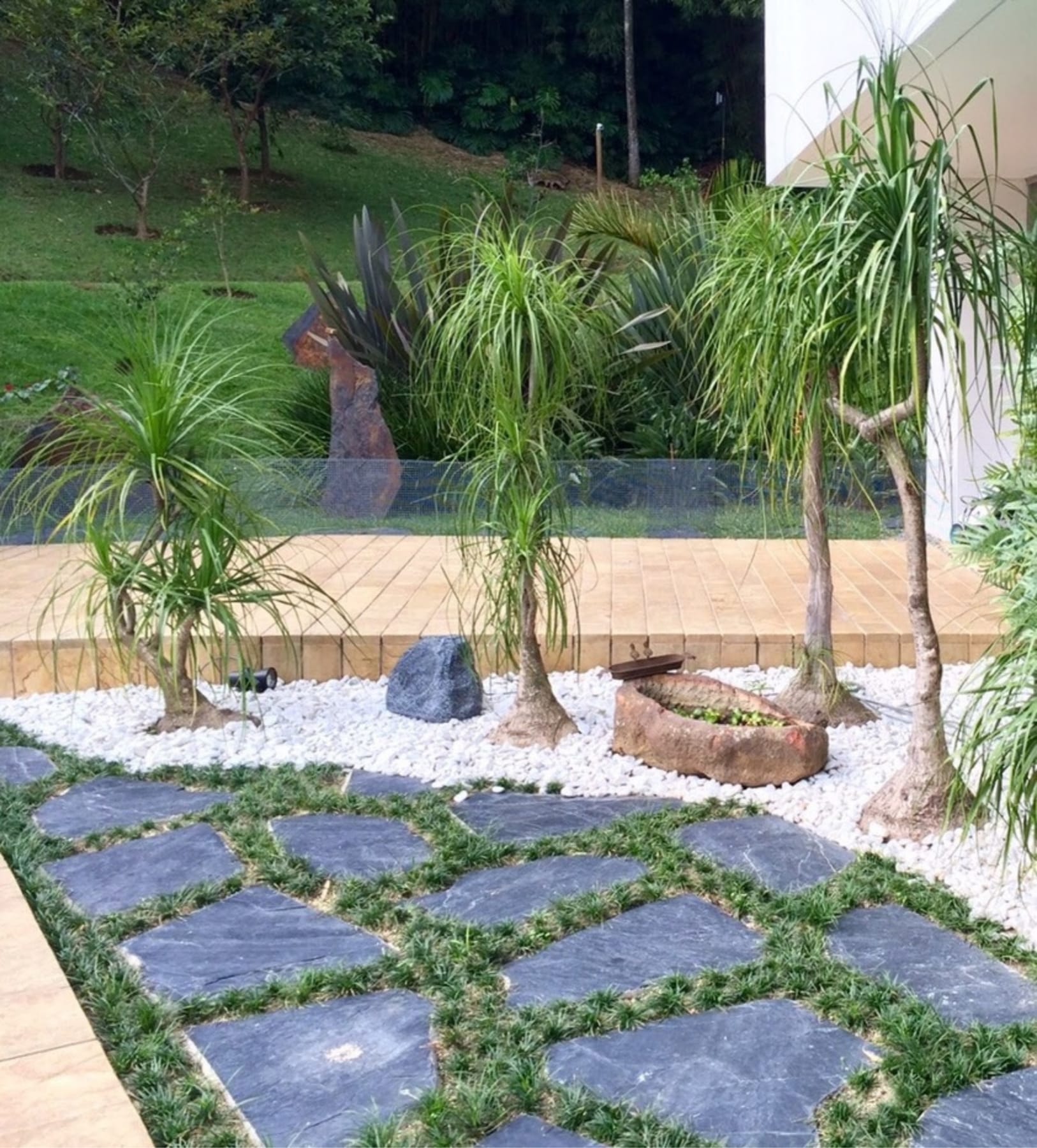 Jardín seco con palmas y piedra sobre losas de pizarra