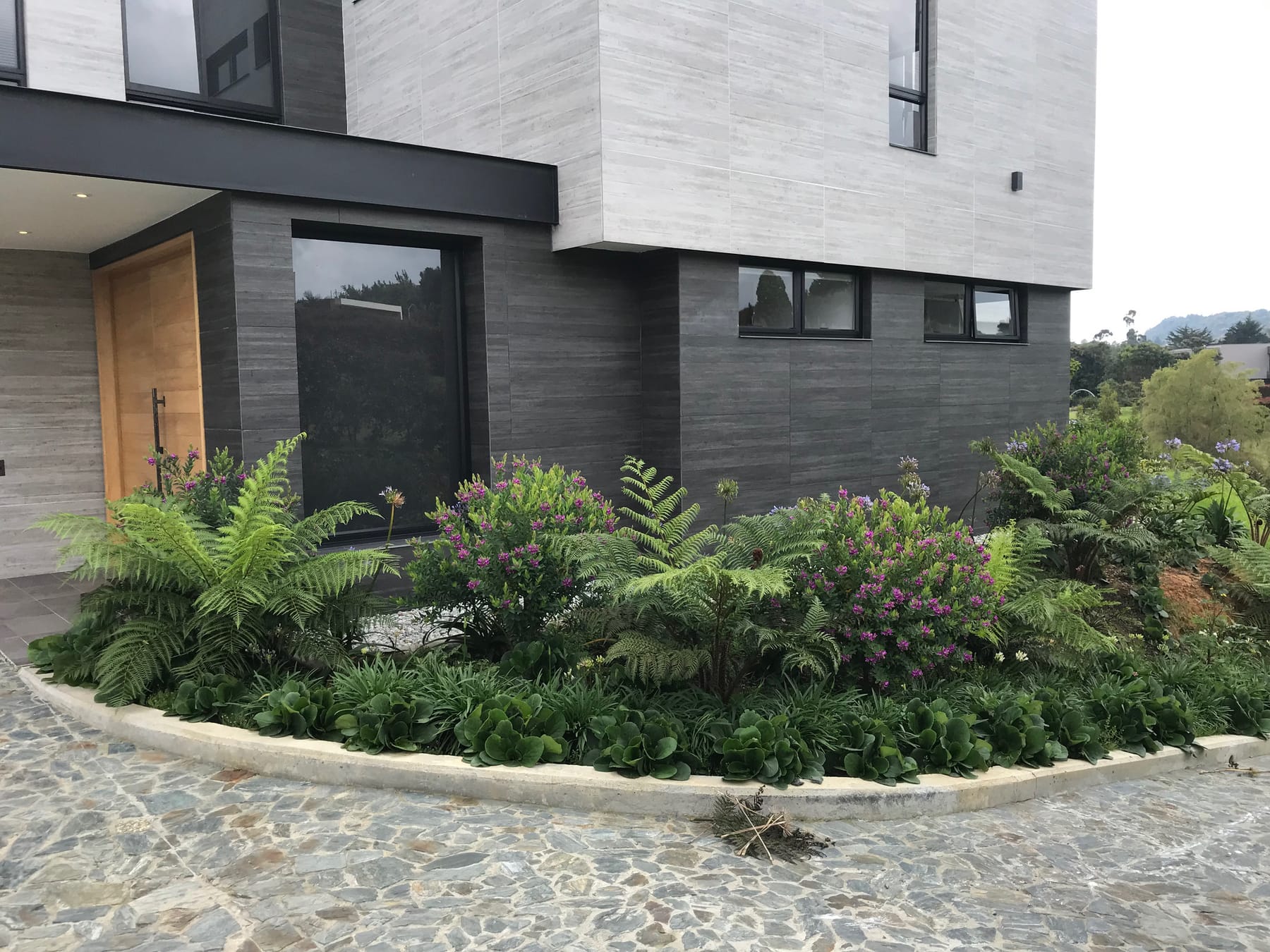 Jardín de acceso de una casa moderna, con piedra y helechos