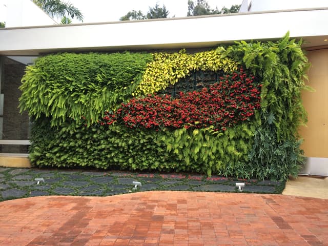Jardín vertical con franjas de color en la fachada de una casa