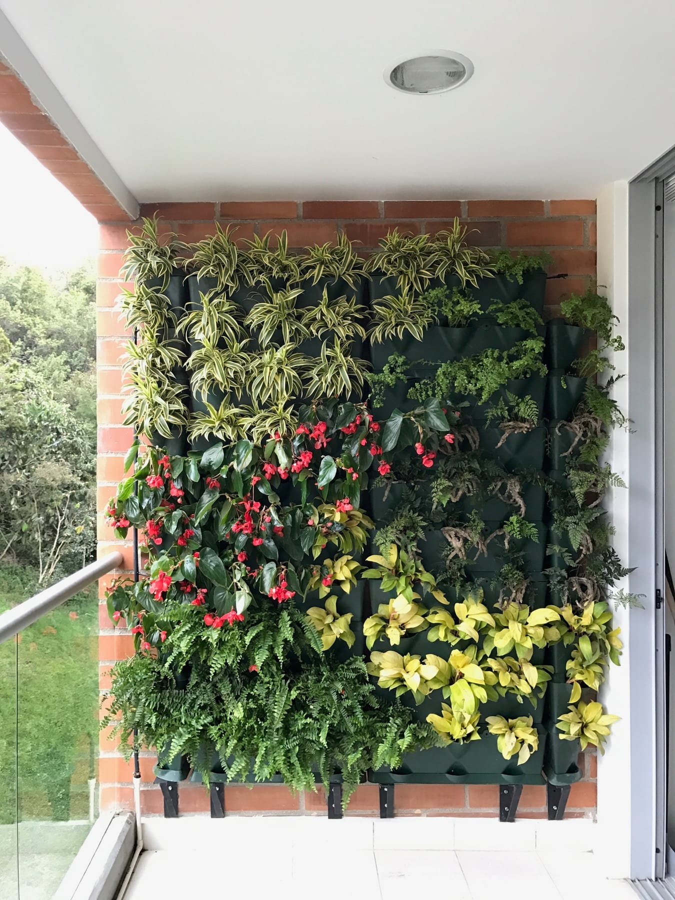 Jardín vertical de helechos y anturios en una terraza cubierta