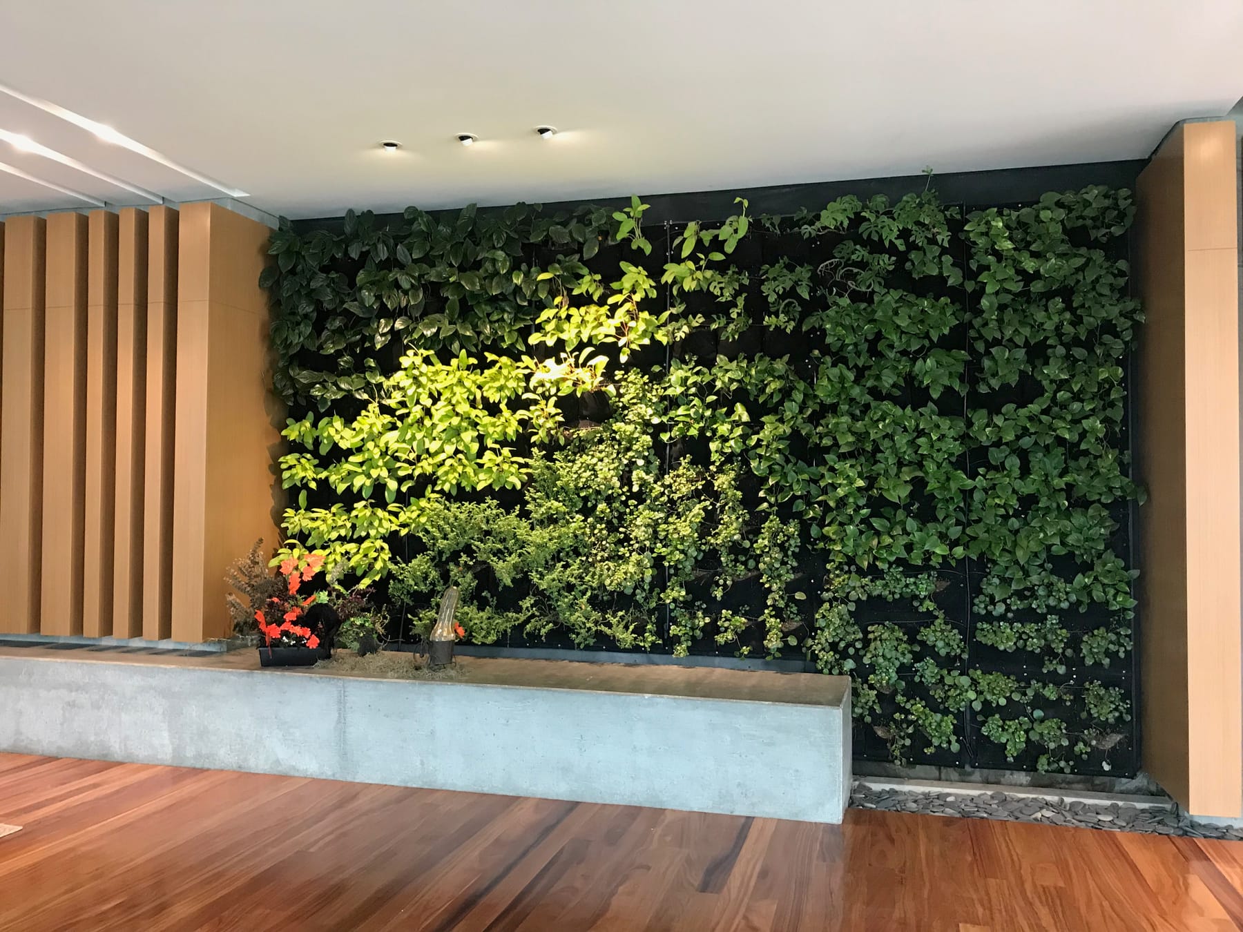 Muro verde interior con riego integrado