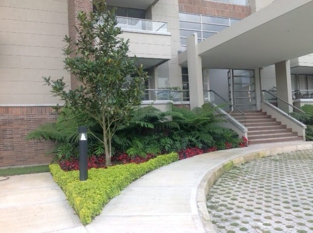Jardinera triangular con árbol en el acceso