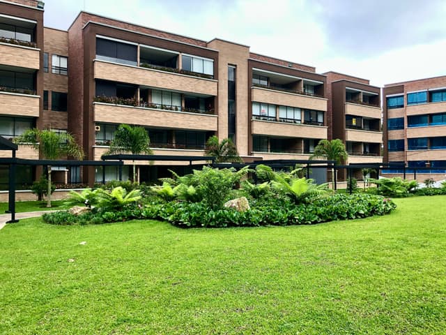 Jardineras de palmas y helechos entre los edificios