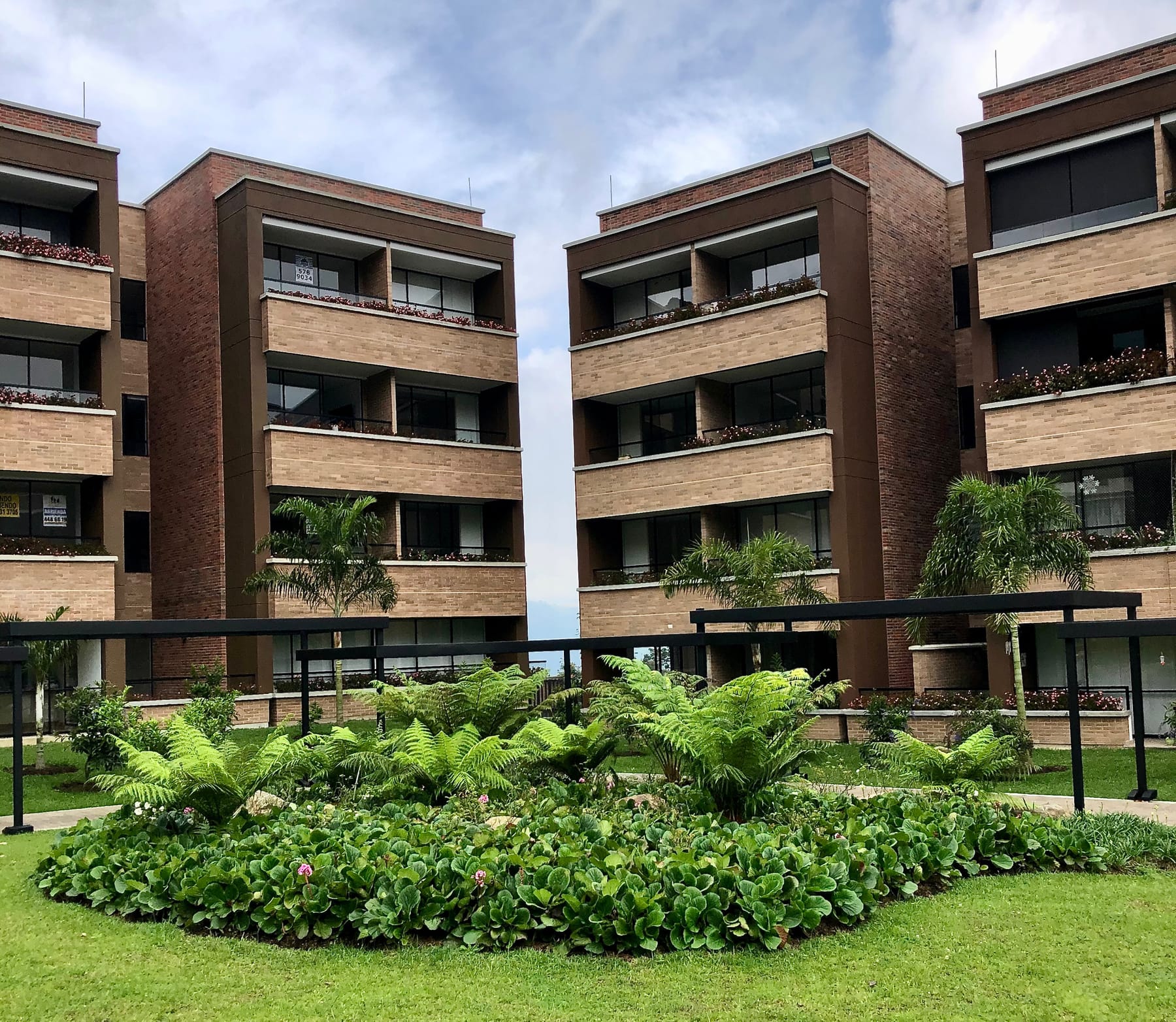 Jardín central con helechos arbóreos frente a los apartamentos