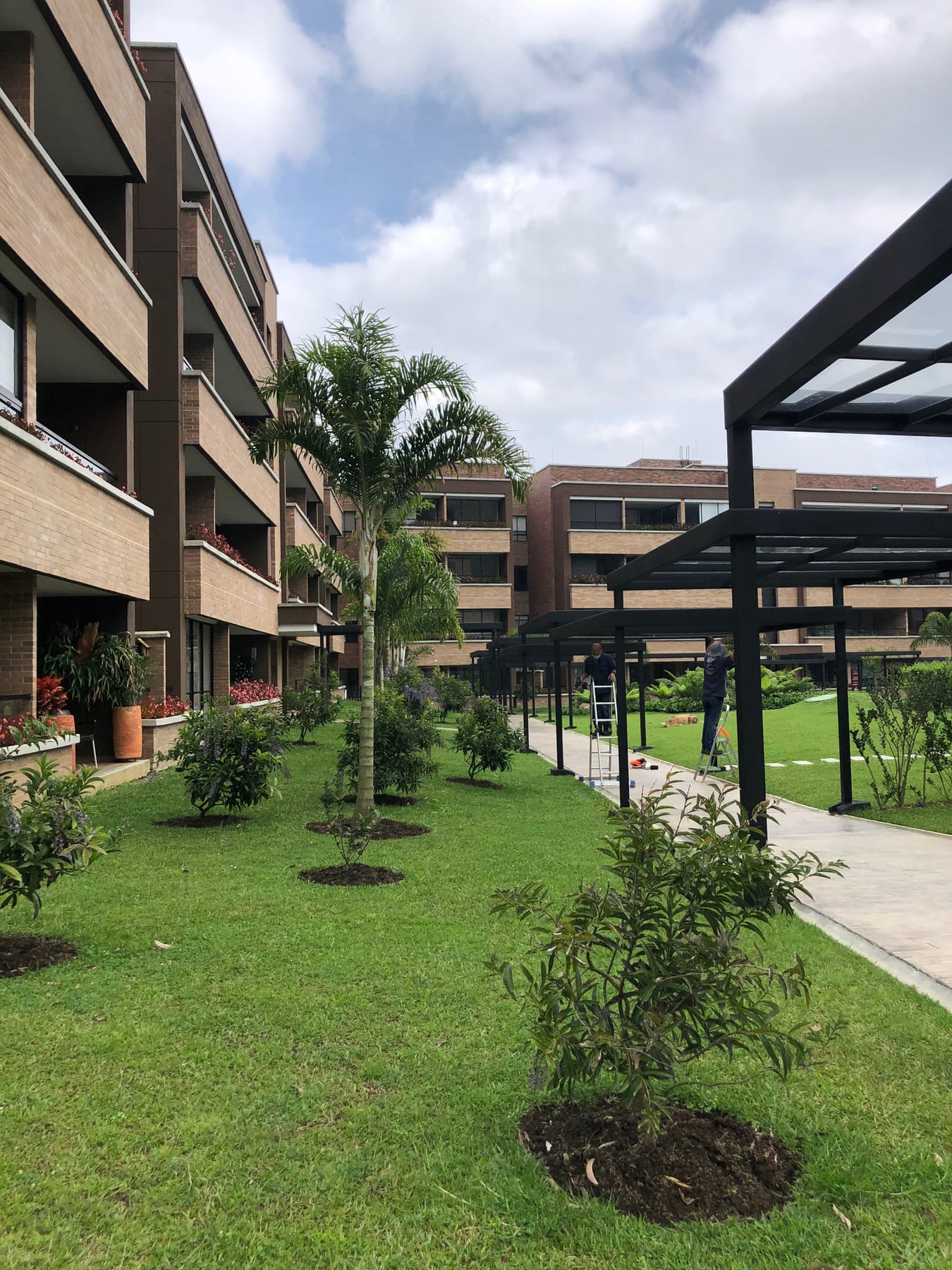 Senderos y jardineras bajo los árboles del conjunto