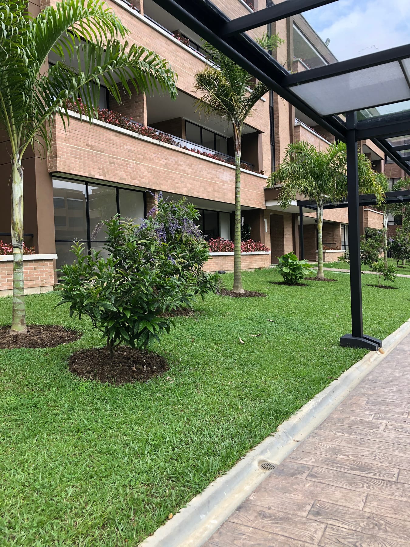 Jardín de helechos y palmas en el acceso de un bloque