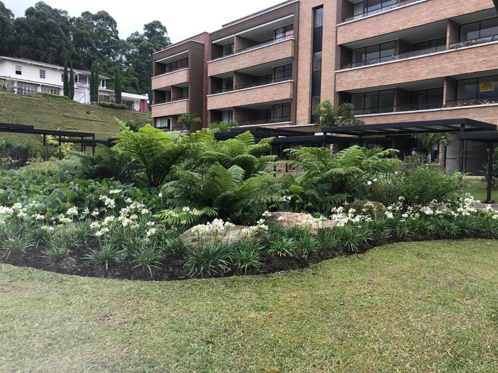 Jardinera de helechos y flores blancas frente a los apartamentos