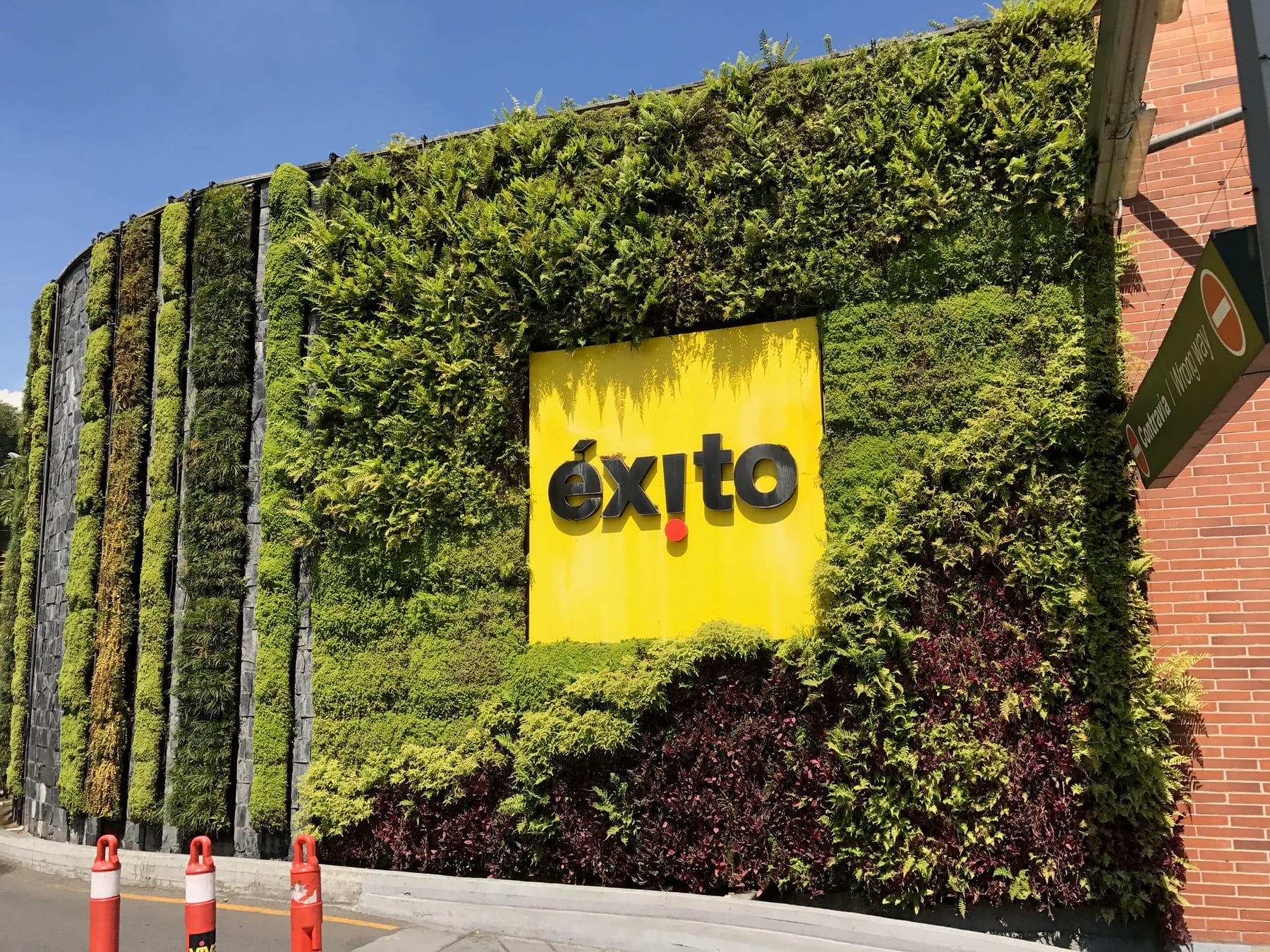 Jardín vertical del Éxito, el primero de gran formato en un centro comercial de Medellín