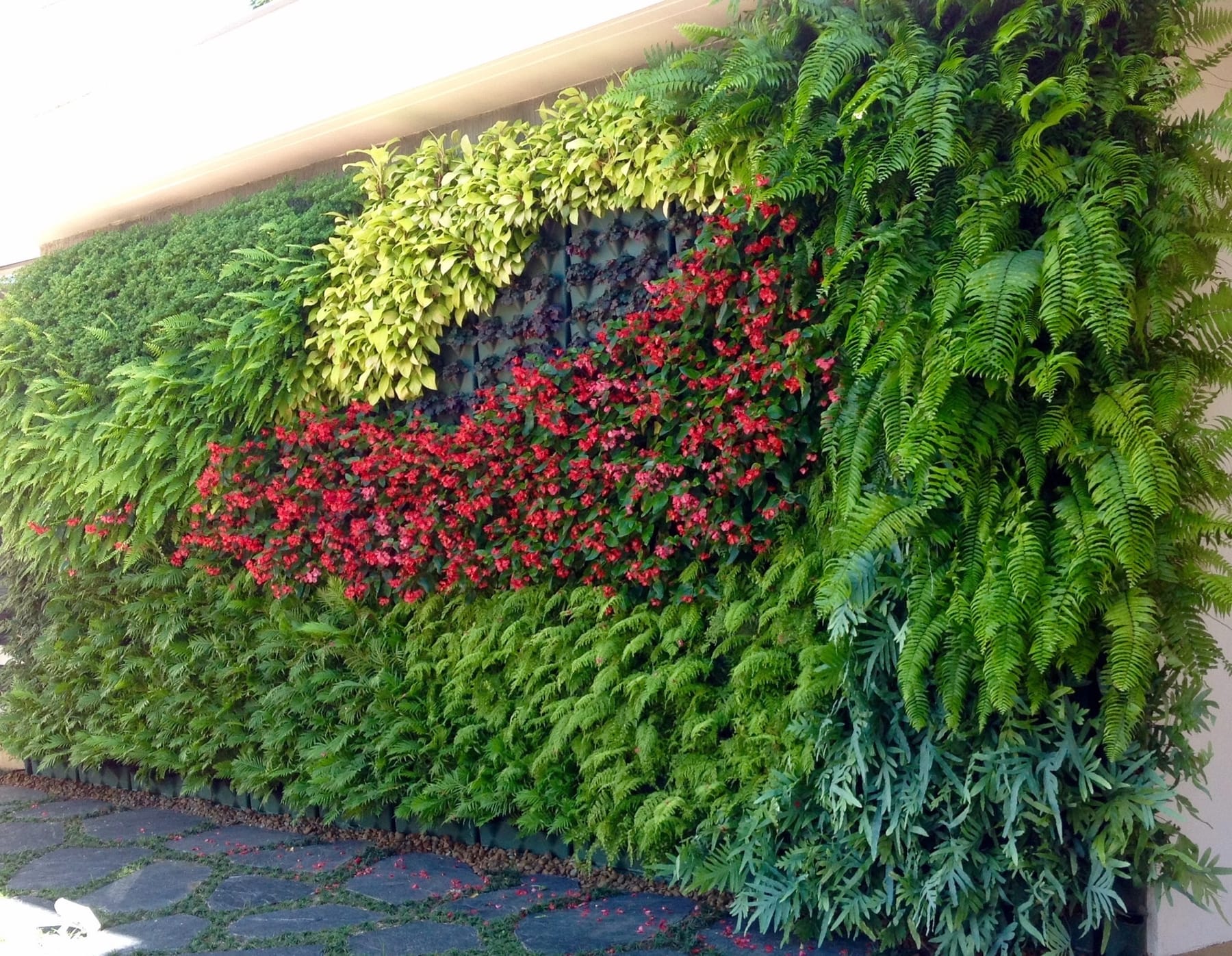 Detalle del muro verde con bromelias y helechos