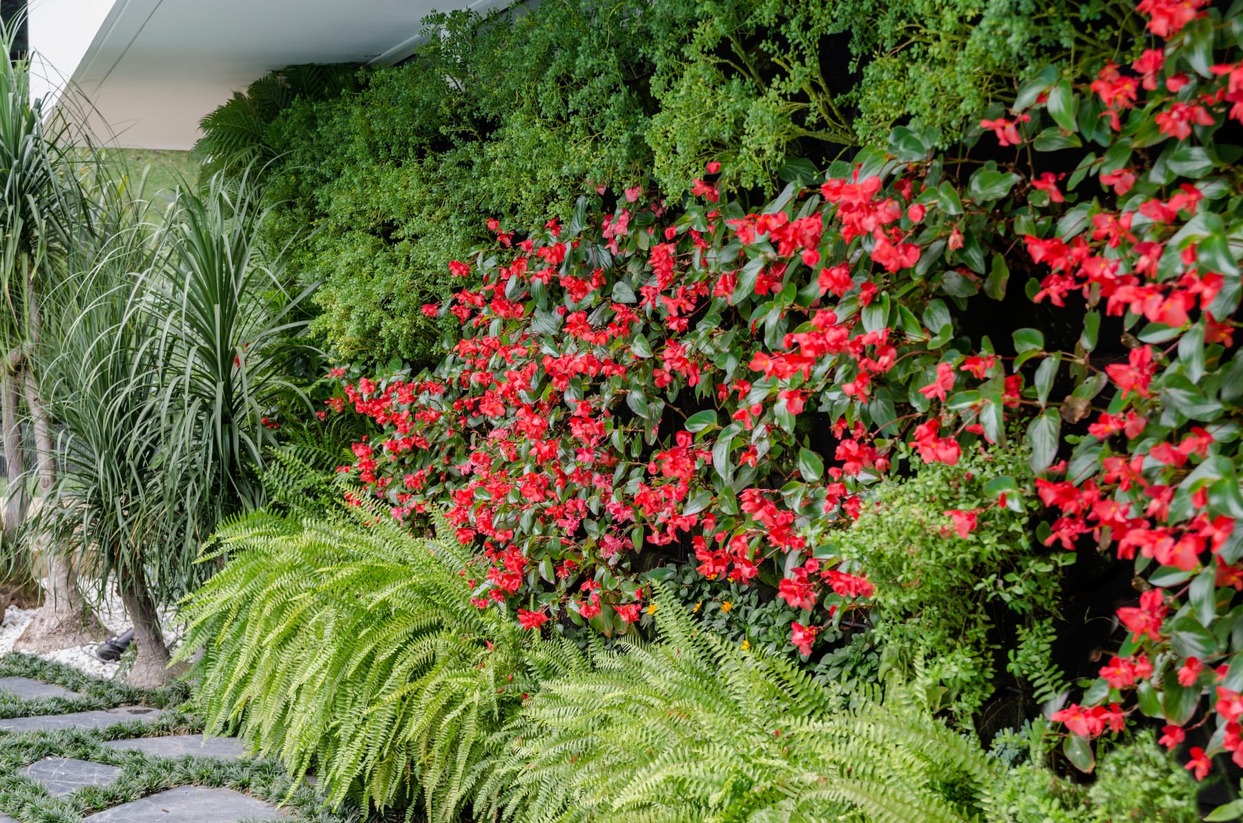 Muro verde con flor roja junto al acceso vehicular